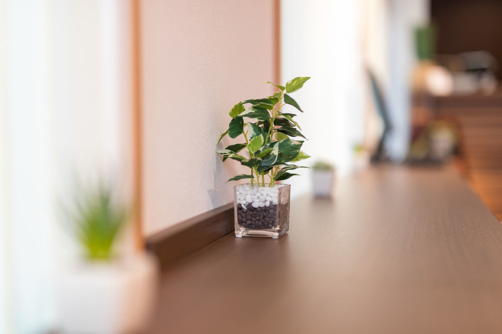 Simple Stay Kanon Nanba Minami Osaka Exterior photo